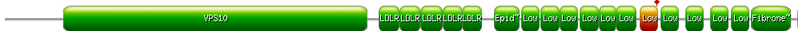 Example of SORL1 protein with an impacted domain